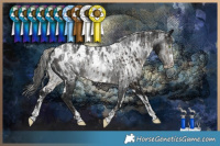 Horse Color:Powder White Silver Smoky Black Near Leopard and Powder White Gray White Spotted Black Near Leopard