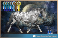 Horse Color:Powder White Silver Smoky Black Appaloosa and Powder White Gray White Spotted Black Appaloosa
