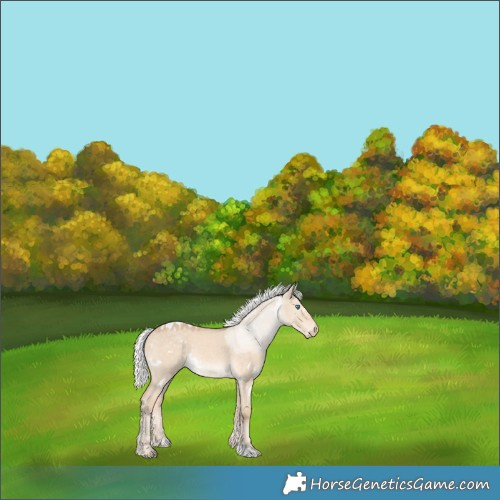 Horse Color:White Spotted Silver Perlino Dun 