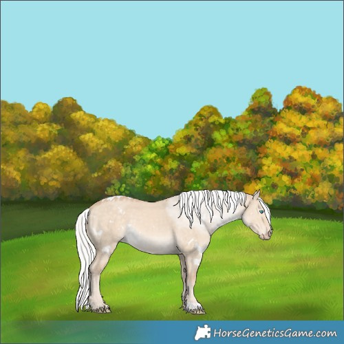 Horse Color:White Spotted Silver Perlino Dun 
