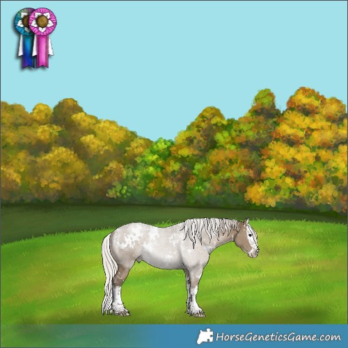 Horse Color:Powder White White Spotted Silver Smoky Grullo Splash 