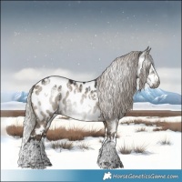 Horse Color:Powder White Gray White Spotted Silver Grullo Splash Near Leopard Rabicano Brindle 