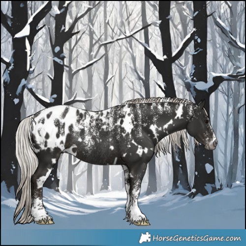 Horse Color:Powder White Gray White Spotted Silver Black Appaloosa Rabicano 