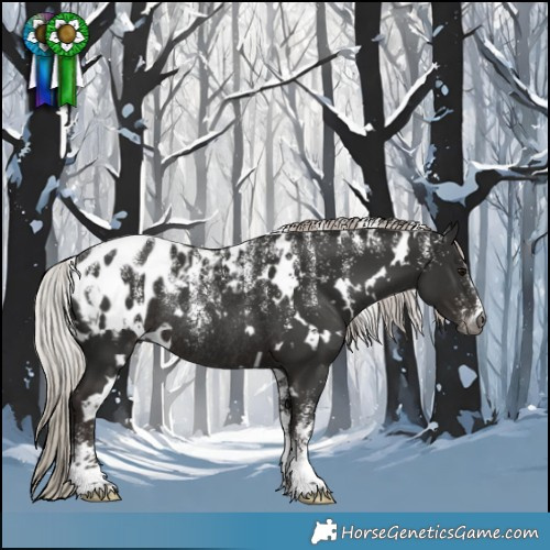 Horse Color:Powder White Gray White Spotted Silver Black Appaloosa Rabicano 
