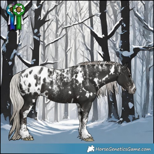 Horse Color:Powder White Gray White Spotted Silver Black Blanket Rabicano 