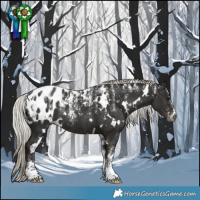 Horse Color:Powder White Gray White Spotted Silver Black Appaloosa Rabicano