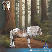 Horse Color:Powder White Silver Brown Dun Splash Tobiano Appaloosa Brindle 