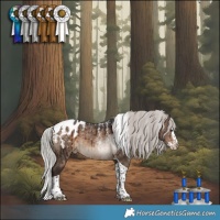 Horse Color:Powder White Silver Brown Dun Splash Tobiano Appaloosa Brindle 