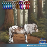 Horse Color:Powder White Silver Brown Dun Splash Tobiano Appaloosa Brindle 