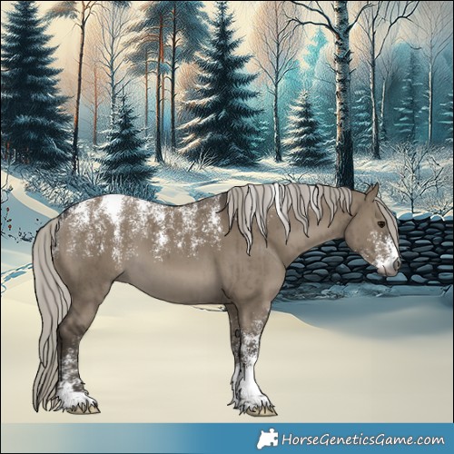 Horse Color:Powder White Gray Silver Smoky Grullo Brindle 