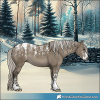 Horse Color:Powder White Gray Silver Smoky Grullo Brindle