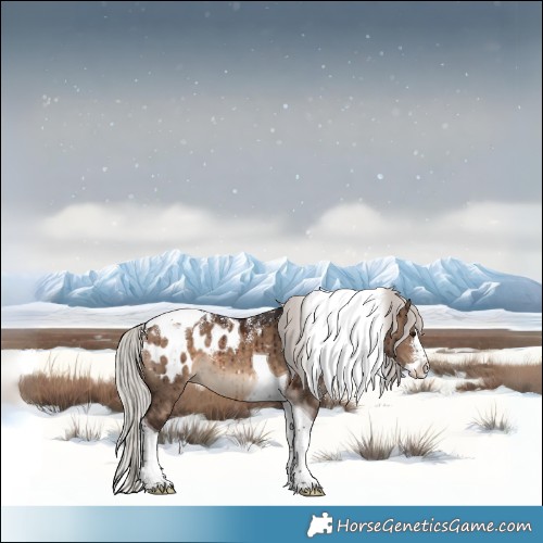 Horse Color:Powder White Silver Brown Dun Splash Tobiano Appaloosa Brindle 