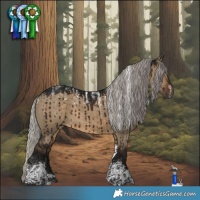 Horse Color:Powder White Gray Silver Brown Dun Tobiano Brindle 