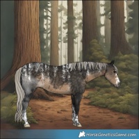Horse Color:Powder White Gray Silver Smoky Black Rabicano