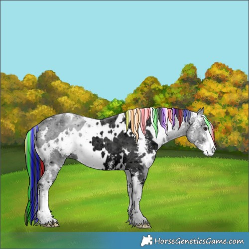 Horse Color:ERROR: UNKNOWN ANOMALY