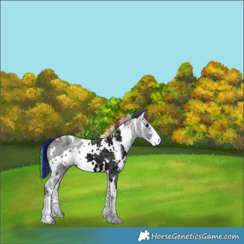 Horse Color:ERROR: UNKNOWN ANOMALY