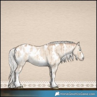 Horse Color:White Spotted Silver Smoky Creme Dun Appaloosa Brindle 
