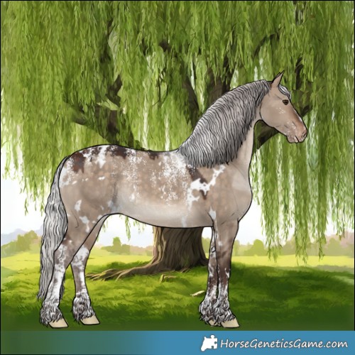Horse Color:Powder White White Spotted Silver Brown Dun Appaloosa Rabicano 