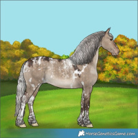 Horse Color:Powder White White Spotted Silver Brown Dun Appaloosa Rabicano 