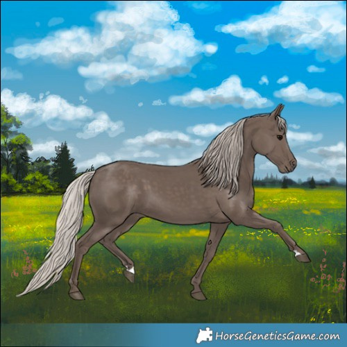 Horse Color:Silver Black 