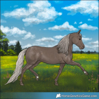 Horse Color:Silver Black 