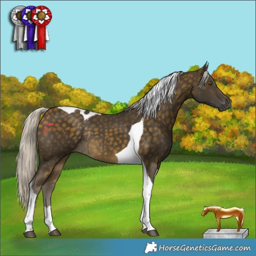 Horse Color:Silver Buckskin Tobiano Rabicano 