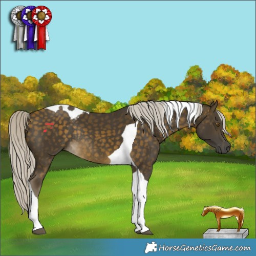 Horse Color:Silver Buckskin Tobiano Rabicano 