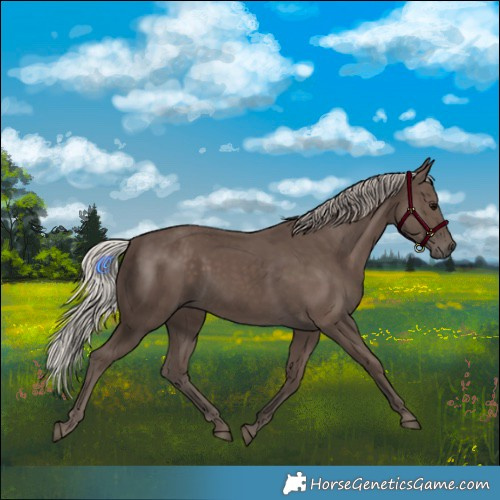 Horse Color:Silver Black 