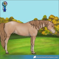 Horse Color:Black Pearl 
