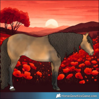 Horse Color:Buckskin Rabicano 