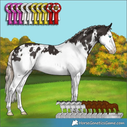 Horse Color:White Spotted Liver Chestnut Splash 