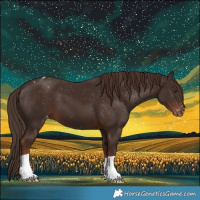 Horse Color:Liver Chestnut Varnish 