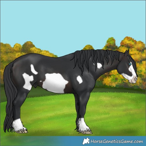 Horse Color:Brown Frame 