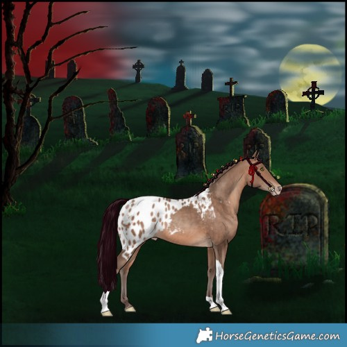 Horse Color:Sable Champagne Tobiano Skewed Appaloosa