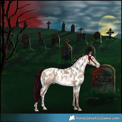 Horse Color:Amber Champagne Dun Sabino Skewed Appaloosa 