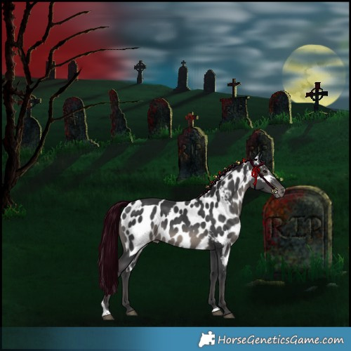 Horse Color:Black Tobiano Skewed Appaloosa 