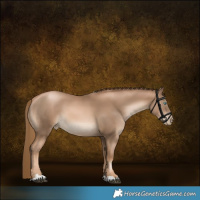 Horse Color:Chestnut Pearl 