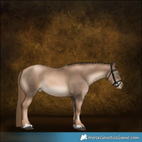 Horse Color:Chestnut Pearl 