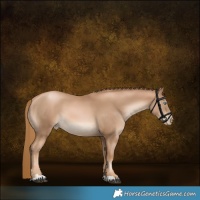 Horse Color:Chestnut Pearl 