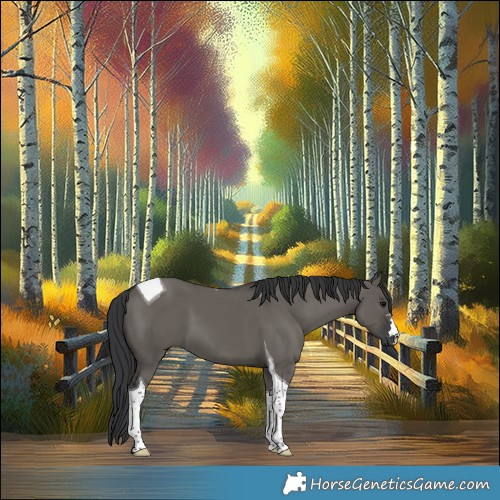 Horse Color:Grullo Tobiano 