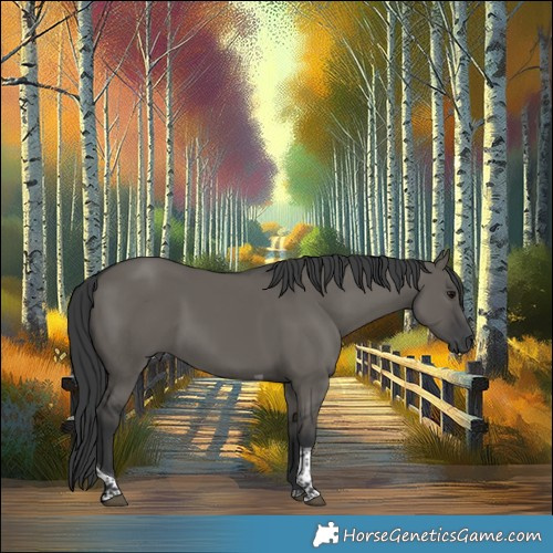 Horse Color:Grullo Tobiano