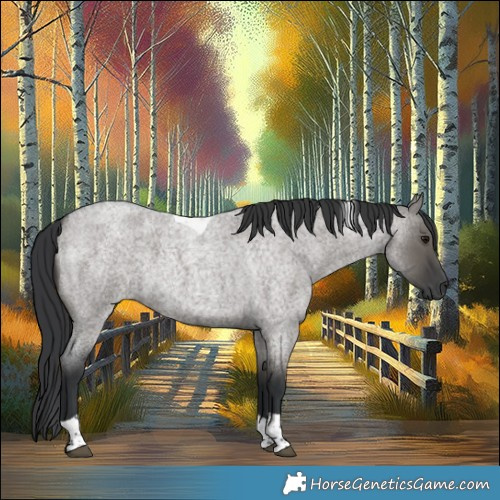 Horse Color:Grullo Roan Tobiano 
