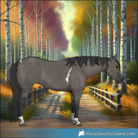 Horse Color:Grullo Tobiano
