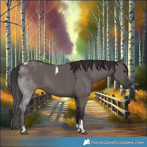 Horse Color:Smoky Grullo Tobiano 