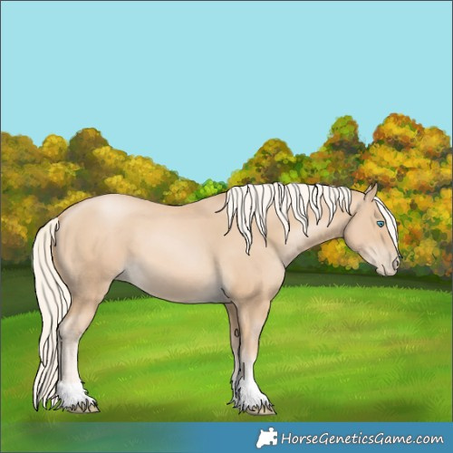 Horse Color:Palomino Snowdrop 