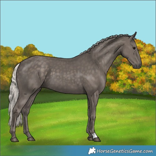 Horse Color:Silver Black 