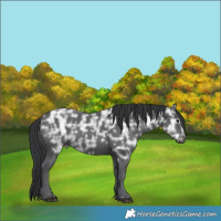 Horse Color:Black Ice 