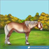 Horse Color:Silver Bay Onyx Rabicano 