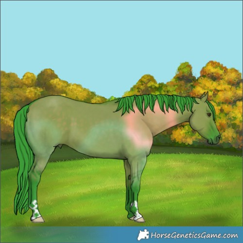 Horse Color:Watercolor Liver Red Dun 