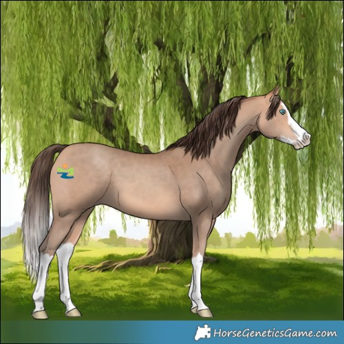 Horse Color:Amber Champagne Splash 